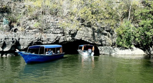 Private Mangrove Tour in Langkawi 2 Hours